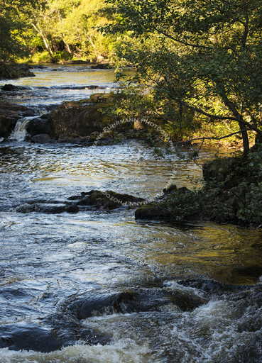 Falls of Shin