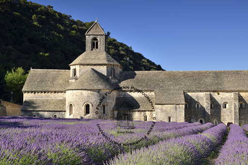 L'Abbaye Notre-Dame de Senanque