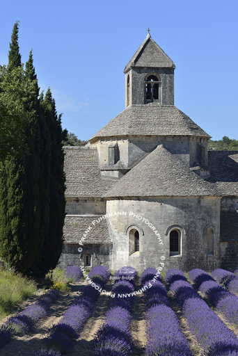 L'Abbaye Notre-Dame de Senanque