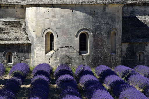 L'Abbaye Notre-Dame de Senanque