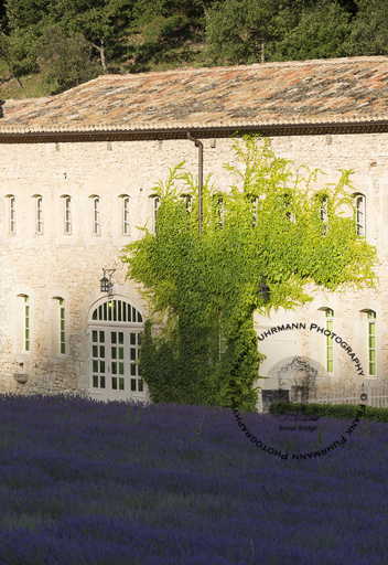 L'Abbaye Notre-Dame de Senanque