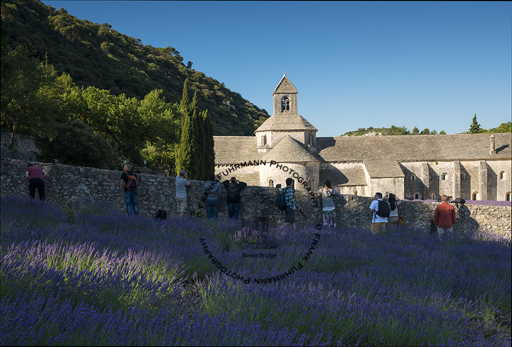 L'Abbaye Notre-Dame de Senanque