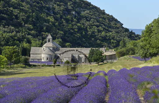L'Abbaye Notre-Dame de Senanque
