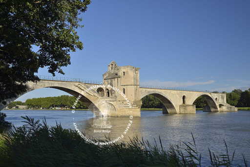 Avignon