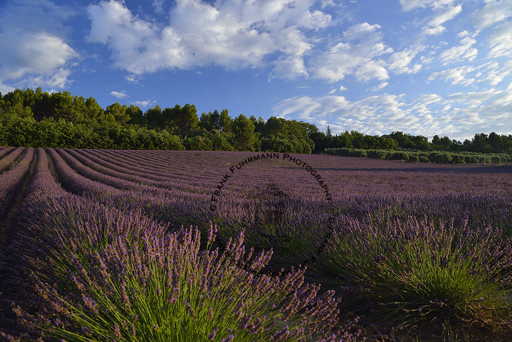 Villages of the Luberon - Lioux