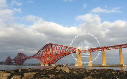 The Bridge