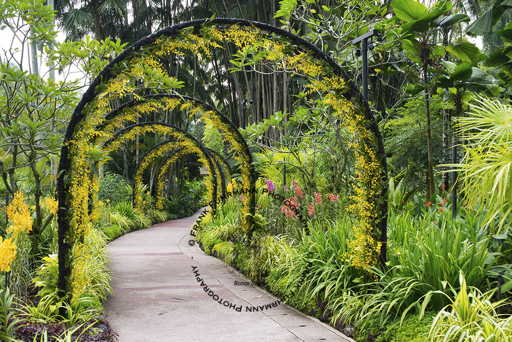 Botanical Gardens