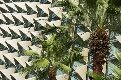 Theatres on the Bay