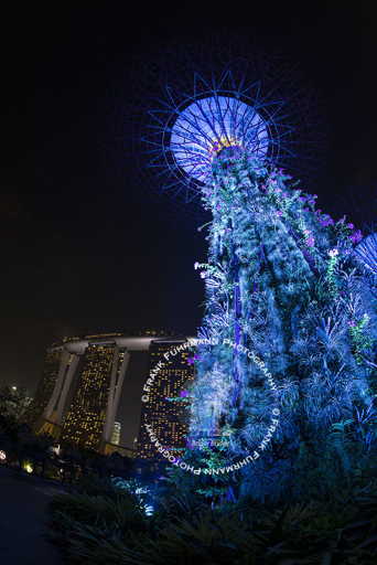 Gardens by the Bay