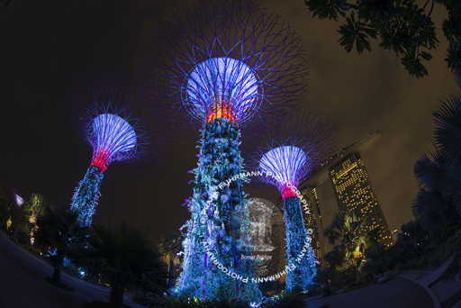 Gardens by the Bay