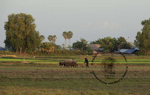 Tonle Sap Lake