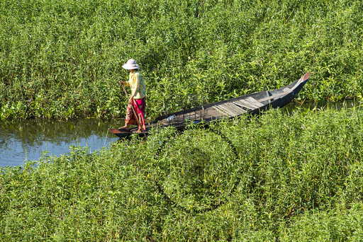 Tonle Sap Lake